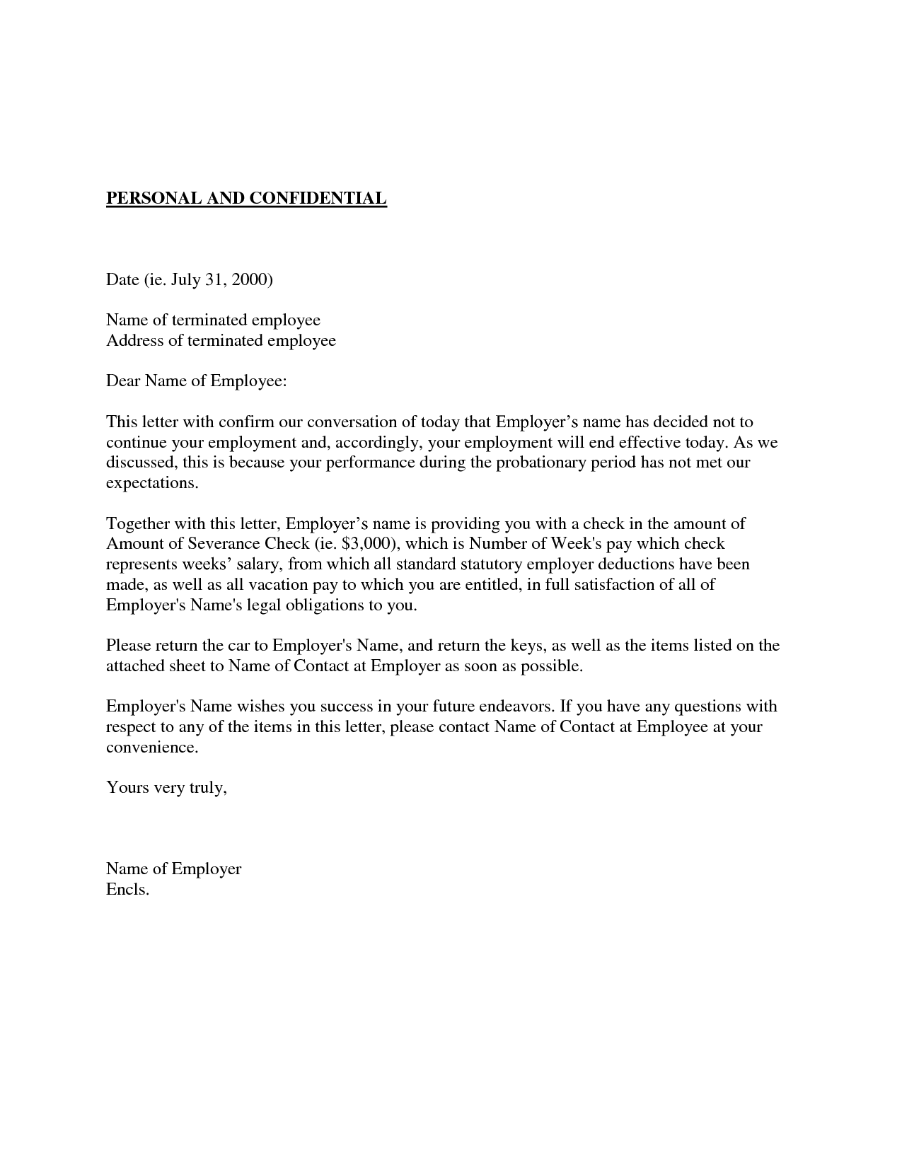 example of employee probation letter